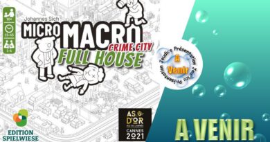 Jeudice - BlackRock Games - Spielwiese - Micro Macro Crime City Full House