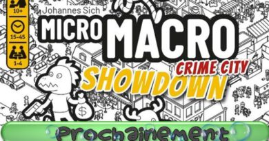 Jeudice - Edition Spielwiese - Micromacro Crime City : Show down - Jeu