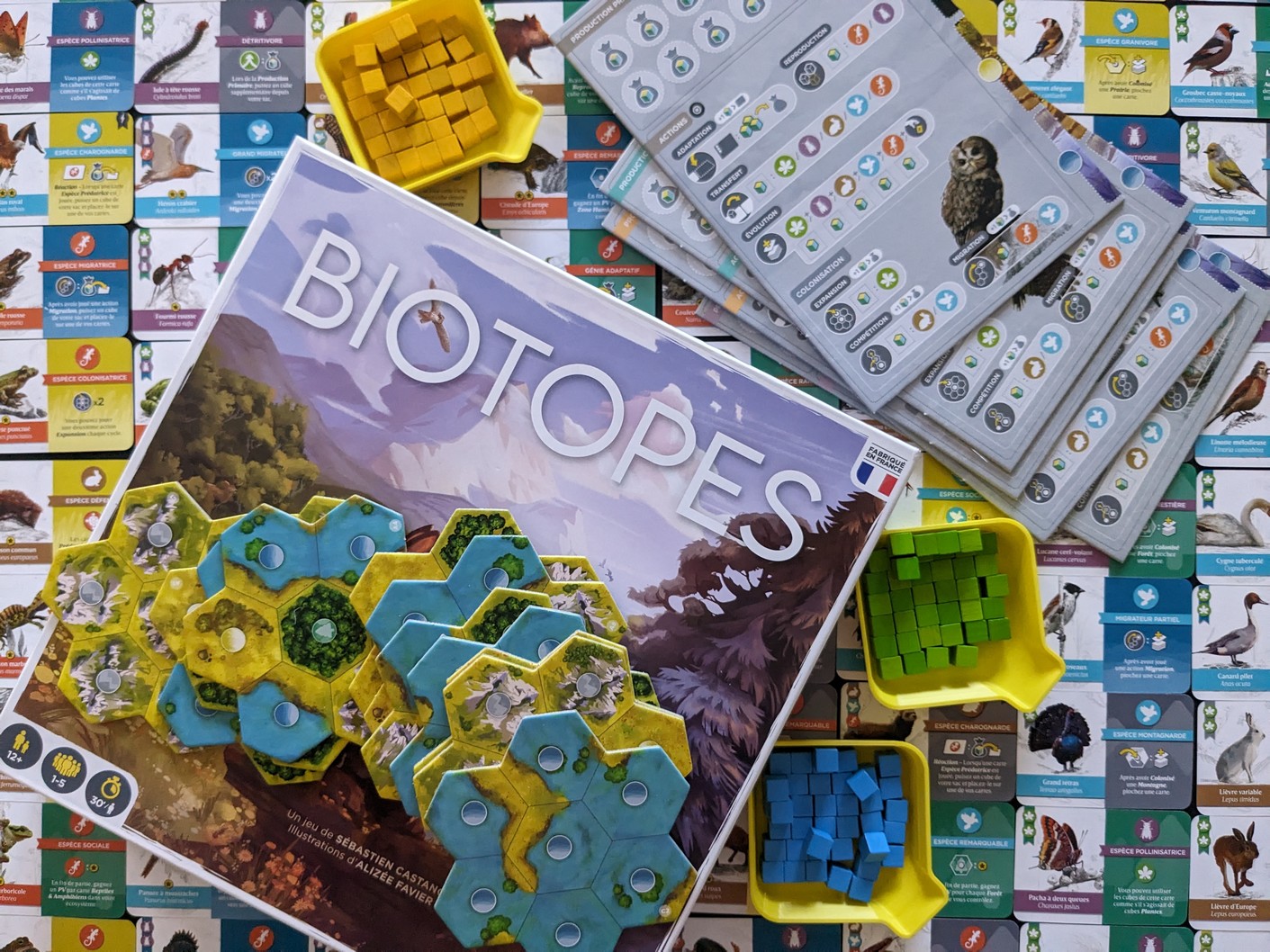 Jeudice - Palladis Games - Biotopes - Jeu de Société