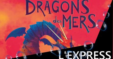 Jeudice - Gigamic - Dragons des Mers - Jeu de Société