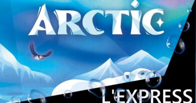 Jeudice - Ludonaute - Arctic - Jeu de Société - Cartes