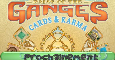 Jeudice - Atalia - Hutch - Rajas of the Ganges - Cards & Karma - Jeu de Société