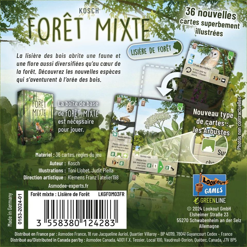 Jeudice - Lookout Games - Forêt Mixte - Extension - Lisière de Forêt - Jeu de Société