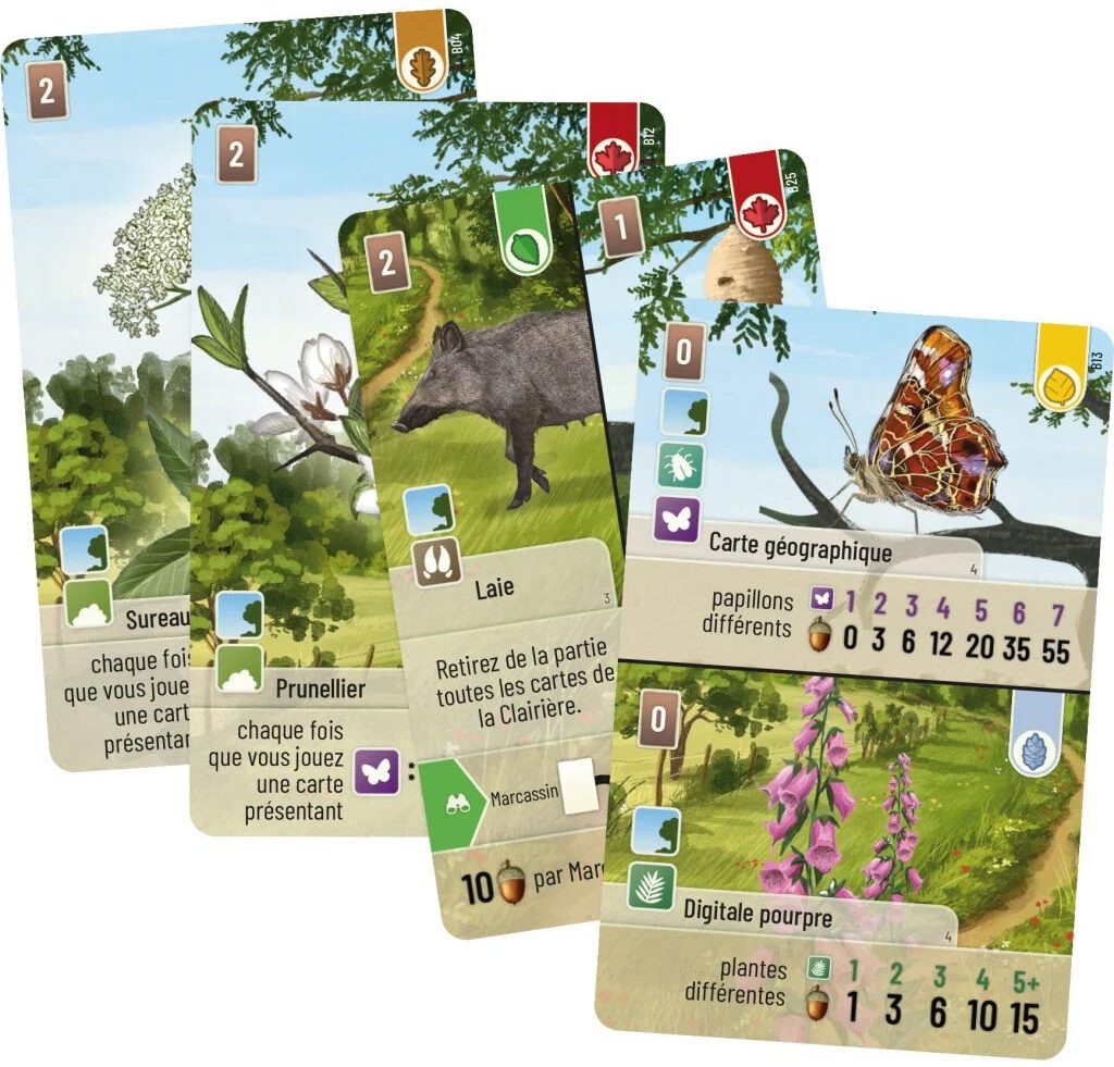 Jeudice - Lookout Games - Forêt Mixte - Extension - Lisière de Forêt - Jeu de Société